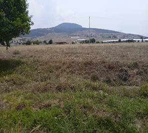 Un campo de pasto seco

Descripción generada automáticamente