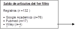 Saldo de artículos del 1er filtro
Registros (n =132 )
§	Google Academico (n=76)
§	Pubmed (n=17)
§	Wiley (n=4)
§	Sage (n=8)
§	Ebsco (n=27)

