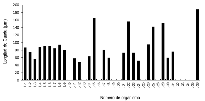 Gráfico, Gráfico de barras

Descripción generada automáticamente