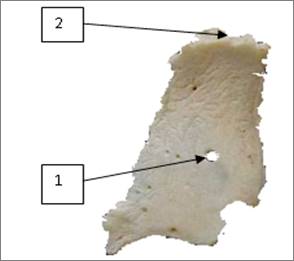 Diagrama

Descripción generada automáticamente