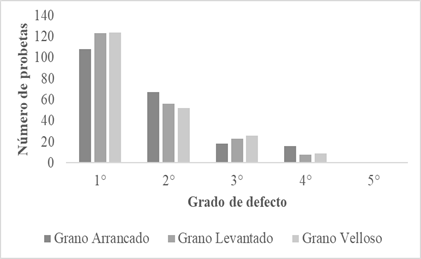 Gráfico, Gráfico de barras

Descripción generada automáticamente